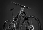 MERIDA eONE-SIXTY 875 Guarded Gold(Grey)
