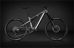 MERIDA eONE-SIXTY 875 Guarded Gold(Grey)