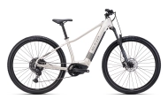 CTM RUBY GX PRO 29" matná zlatošedá / šedá 2025