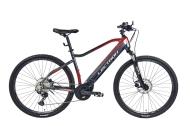 Elektrokolo LECTRON VOYAGER MFX 19" 2025