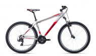 REIN 1.0   27,5" matt grey / red 2022 XL (20")